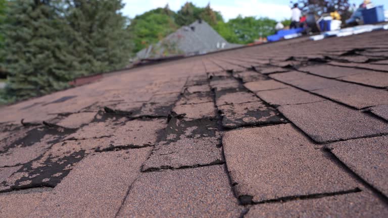 Best Asphalt Shingles Roofing  in Montgomeryville, PA
